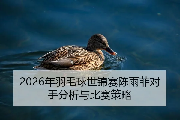 2026年羽毛球世锦赛陈雨菲对手分析与比赛策略