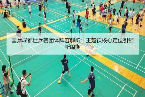 guo-ping-cheng-du-shi-ping-sai-tuan-ti-zhen-rong-jie-xi-wang-chu-qin-he-xin-ding-wei-yin-ling-xin-zhou-qi-2-883.jpg