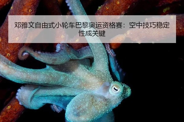 邓雅文自由式小轮车巴黎奥运资格赛：空中技巧稳定性成关键
