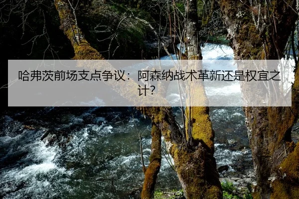 哈弗茨前场支点争议：阿森纳战术革新还是权宜之计？